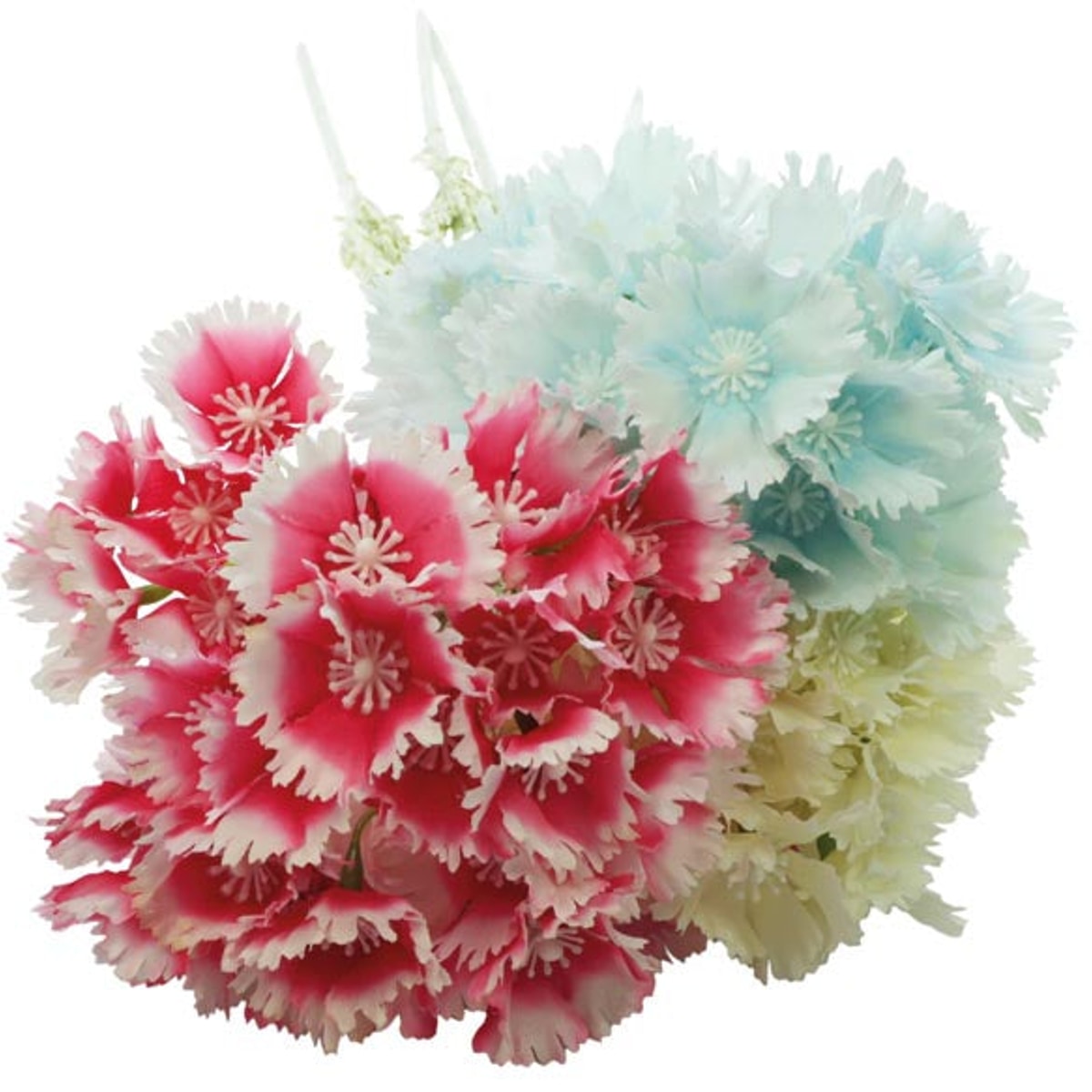 Magnifique branche d'œillet de poète de 66 cm XL avec de nombreuses fleurs