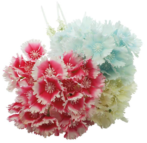 Magnifique branche d'œillet de poète de 66 cm XL avec de nombreuses fleurs
