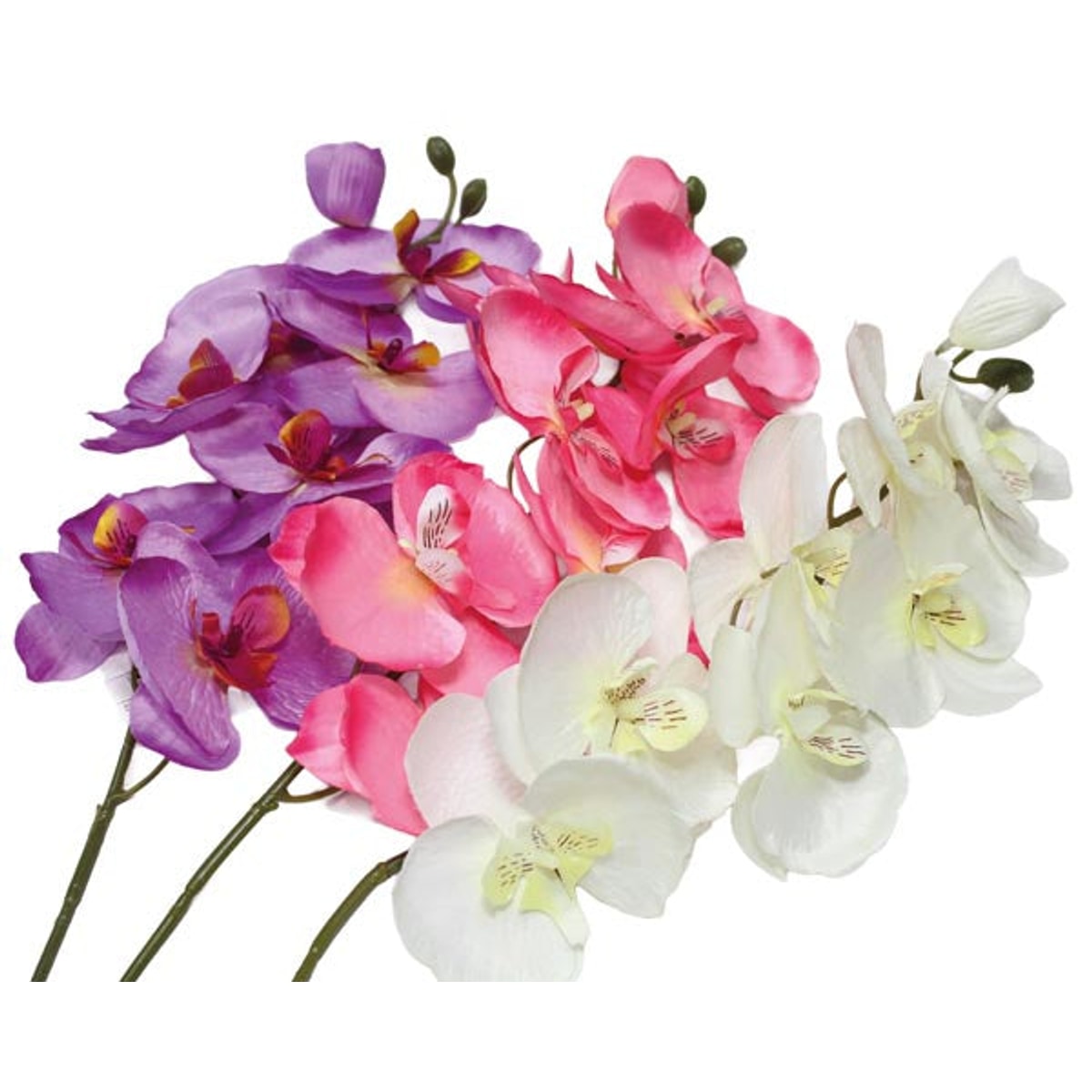 Orchidée papillon, 7 fleurs, 68 cm