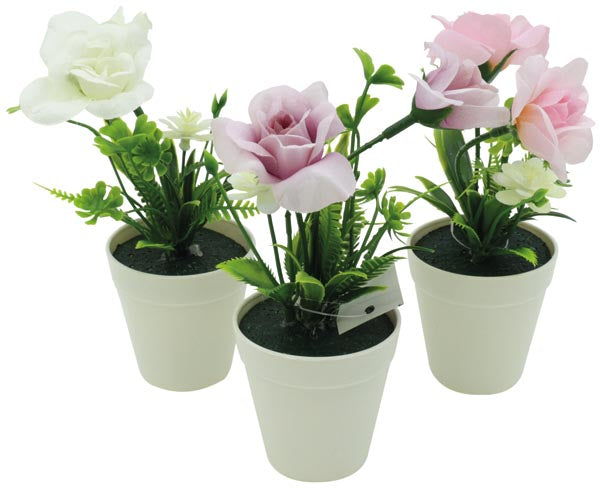 Mélange de roses dans un élégant pot blanc, 13 cm