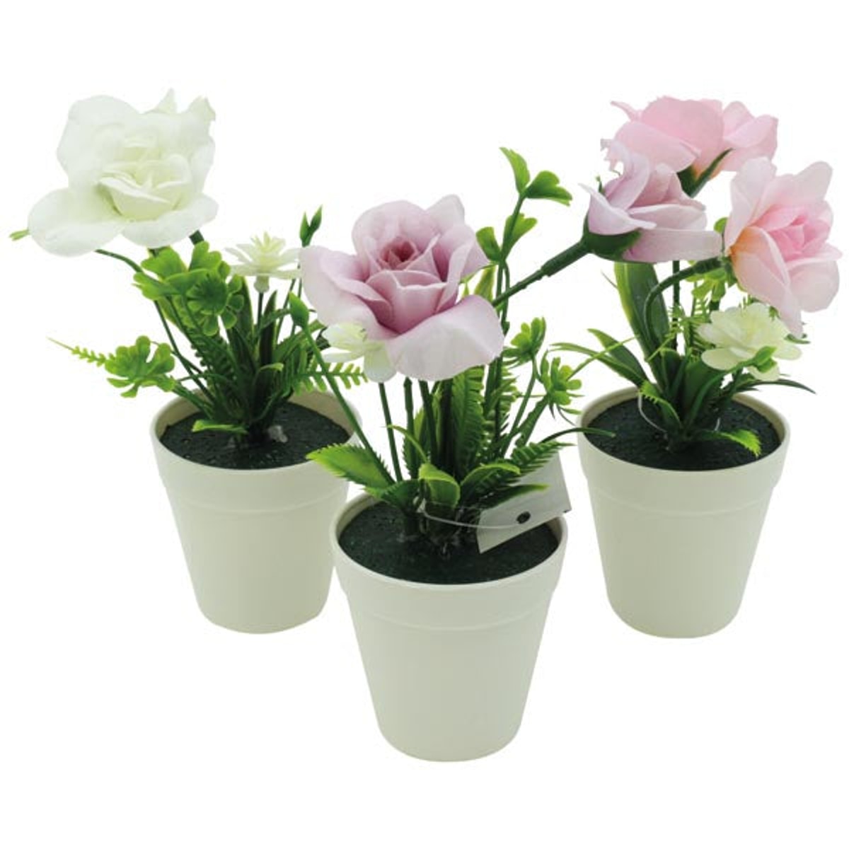 Mélange de roses dans un élégant pot blanc, 13 cm