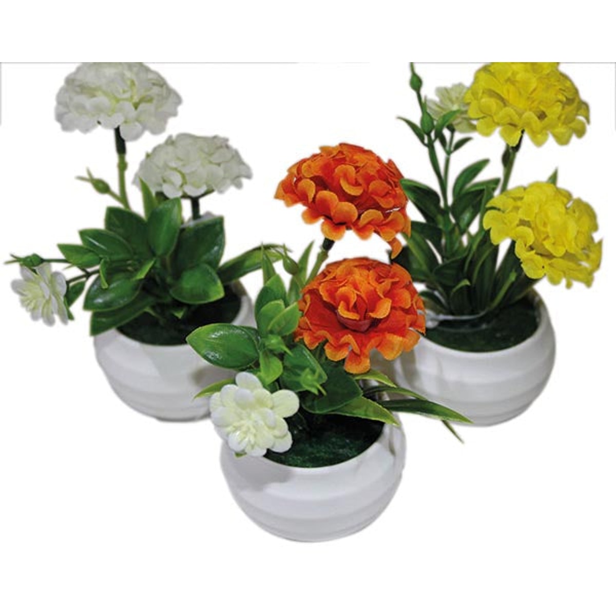 Chrysanthème boule en pot blanc, 14 cm