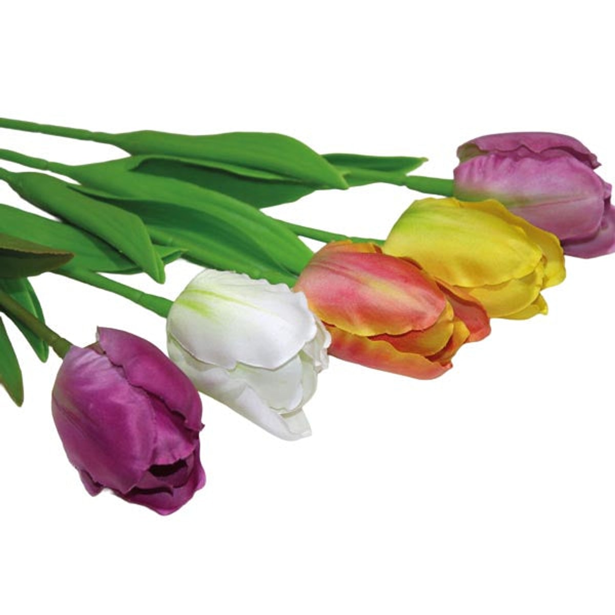 Tulipe élégante 33x4cm, 4 couleurs assorties