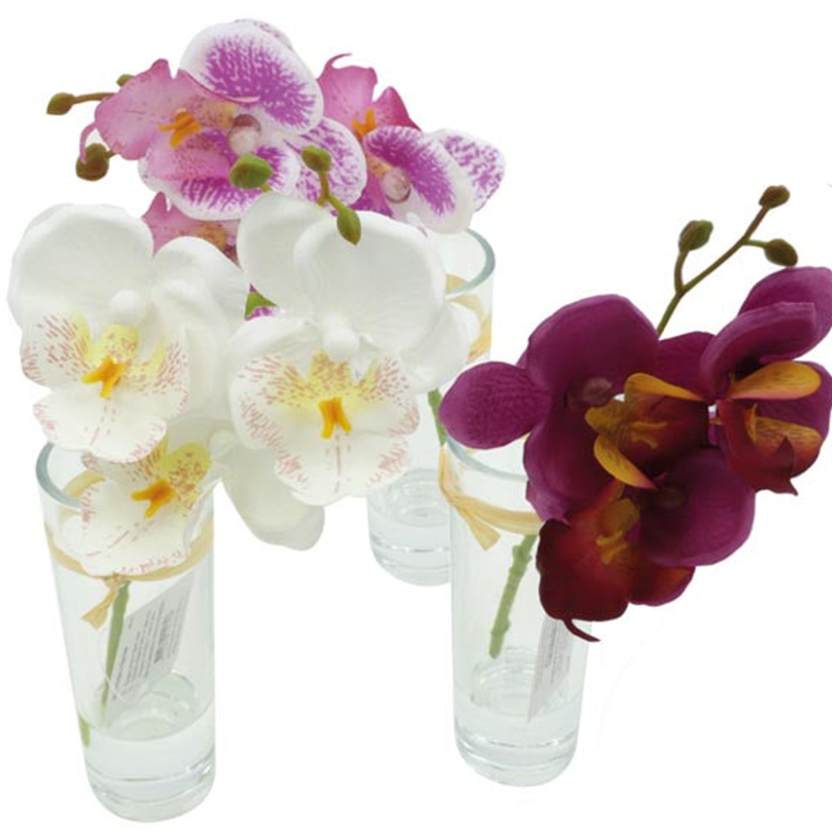 Orchidée élégante dans un vase en verre, 19,5 cm