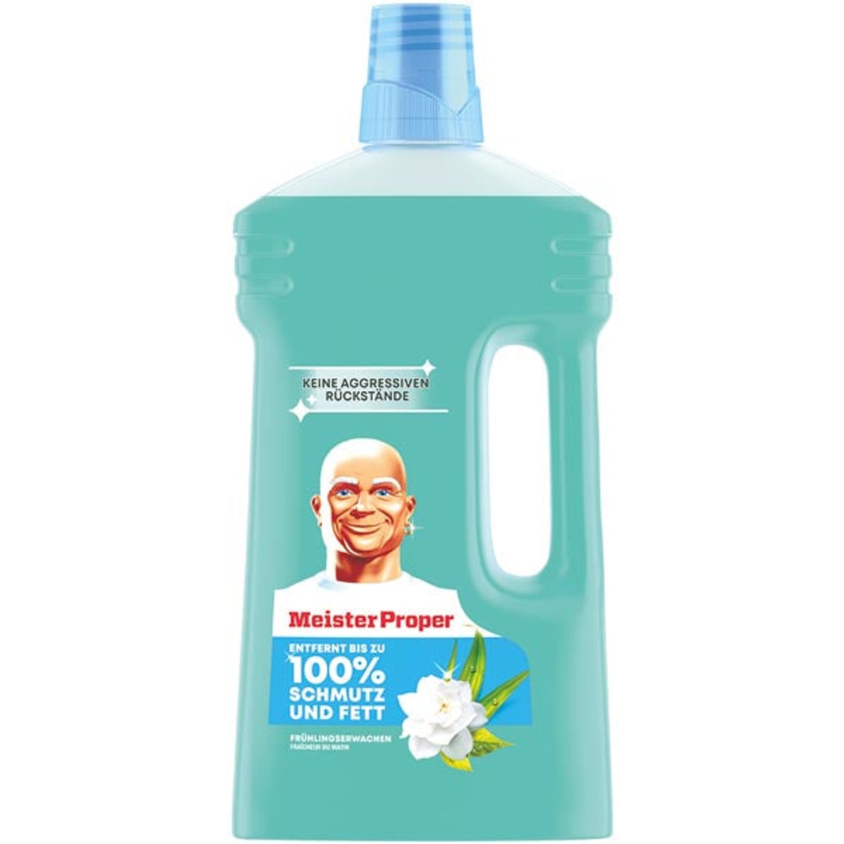Nettoyant multi-usages Mr. Clean 1 L Édition Printemps