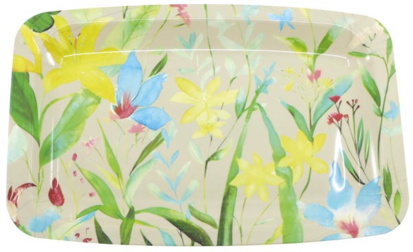 Plateau rectangulaire XL 34x23cm en plastique