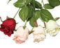 Fleur d'une ravissante rose, 6 x 44 cm, délicate et charmante