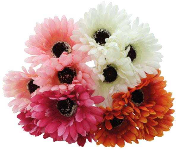 Bouquet de gerberas à 3 têtes, 25 cm