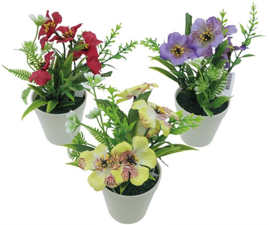 Mélange de fleurs violettes, 15 cm dans un pot blanc