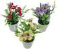 Mélange de fleurs violettes, 15 cm dans un pot blanc