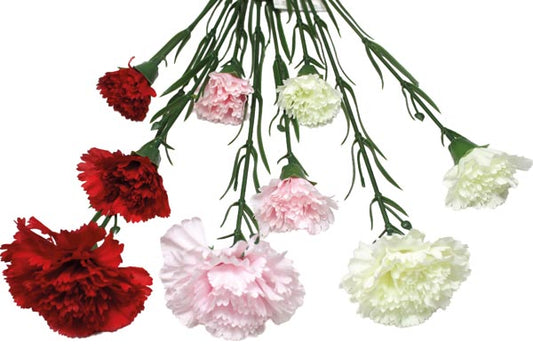 Œillet à 3 fleurs, 7 x 60 cm, arrangé avec amour et délicatesse