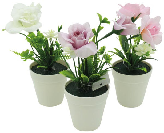 Mélange de roses dans un élégant pot blanc, 13 cm