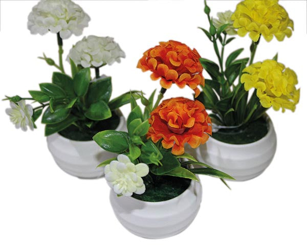Chrysanthème boule en pot blanc, 14 cm