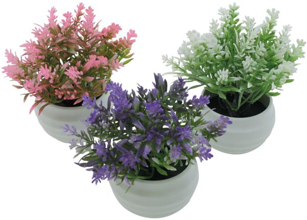 Mélange de fleurs dans un élégant pot rond blanc, 12 cm