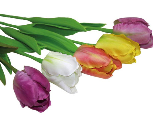 Tulipe élégante 33x4cm, 4 couleurs assorties