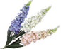 Mélange de jacinthes et de delphiniums XL, 70 cm