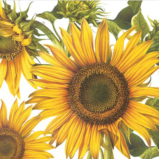 Serviettes de table de qualité supérieure à motif tournesol, paquet de 20, 33 x 33 cm