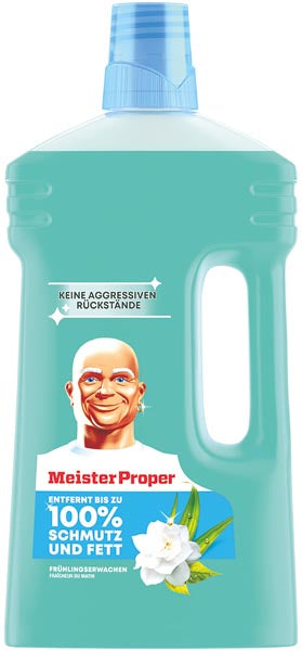 Nettoyant multi-usages Mr. Clean 1 L Édition Printemps