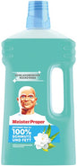 Nettoyant multi-usages Mr. Clean 1 L Édition Printemps