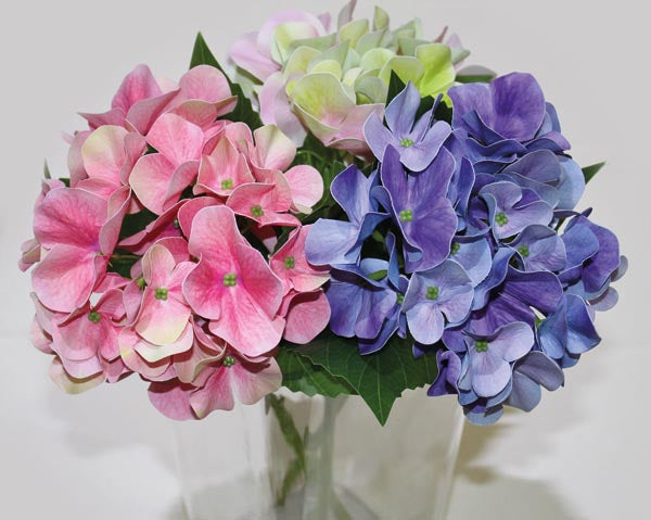 Branche d'hortensia très fleurie 35x15cm